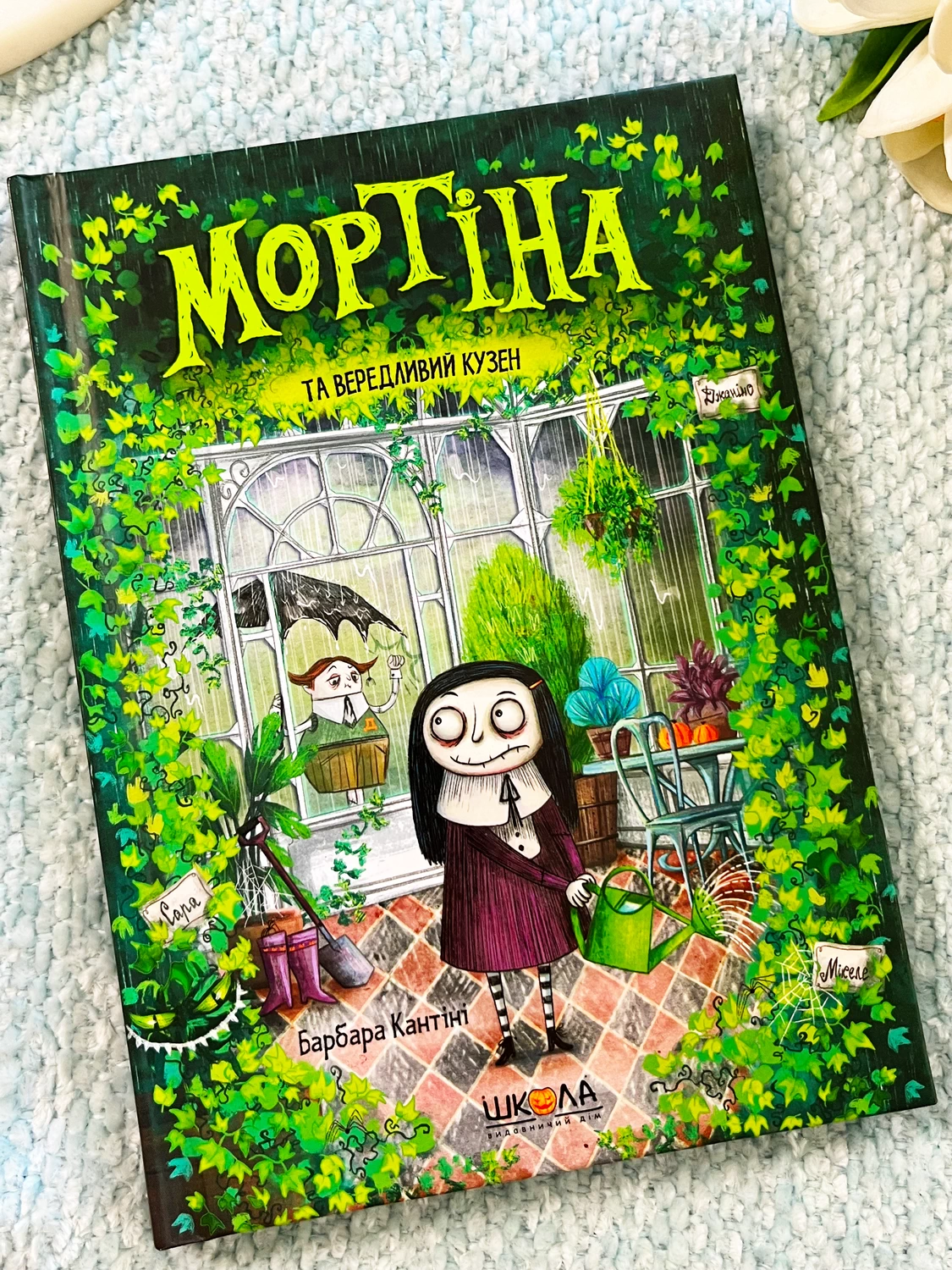 Мортіна та вередливий кузен — Барбара Кантіні — обкладинка книги