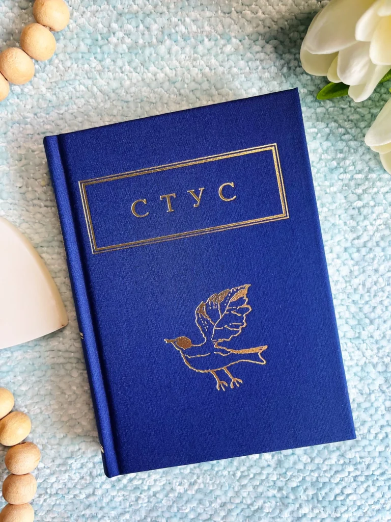 Стус: Палімпсести — Василь Стус — обкладинка книги