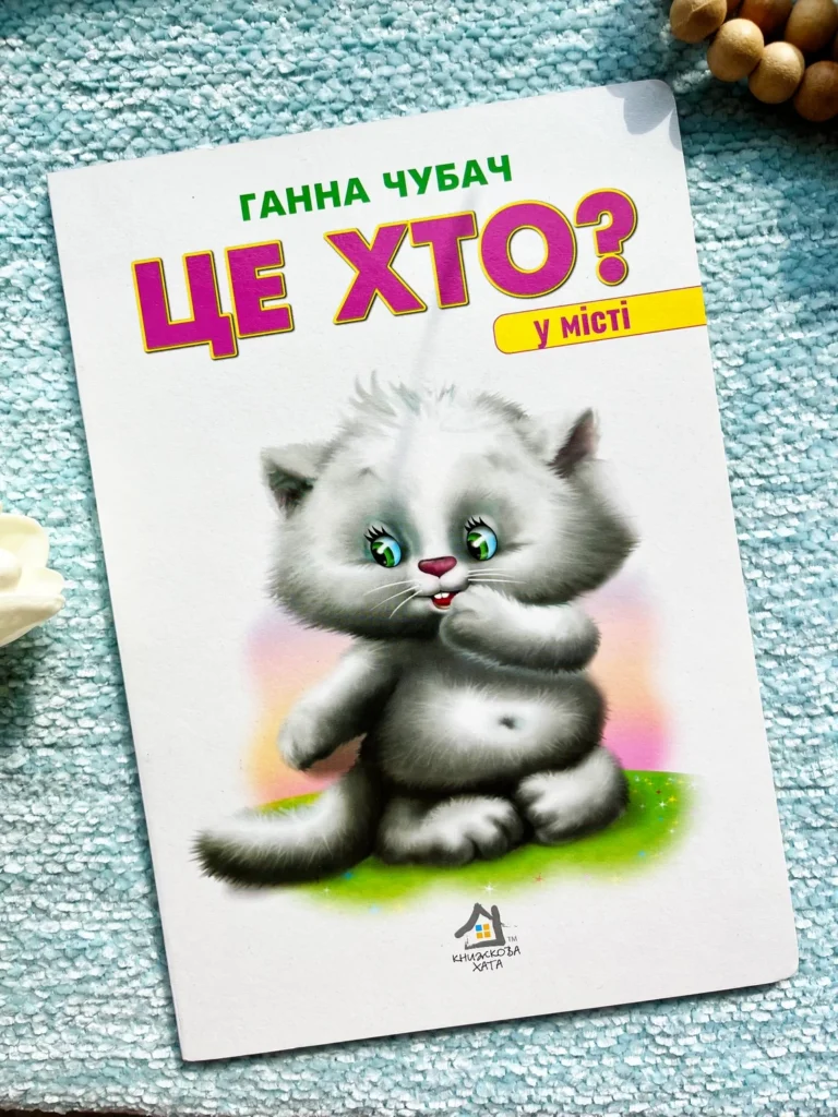 Картонка. Це хто? У місті Формат А4 — обкладинка книги
