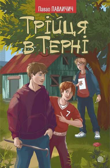 Трійця в Терні – Павличич П. – (НК Богдан) — обкладинка книги