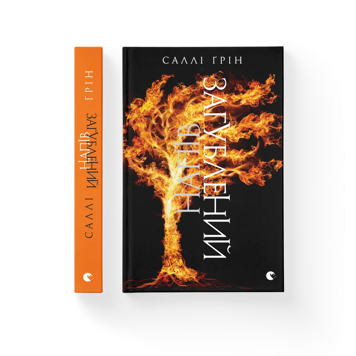 Напівзагублений – Саллі Ґрін — обкладинка книги