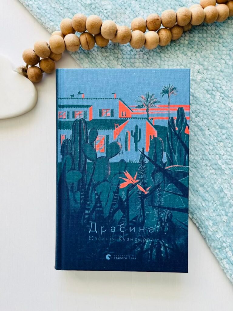 Драбина — Євгенія Кузнецова — обкладинка книги